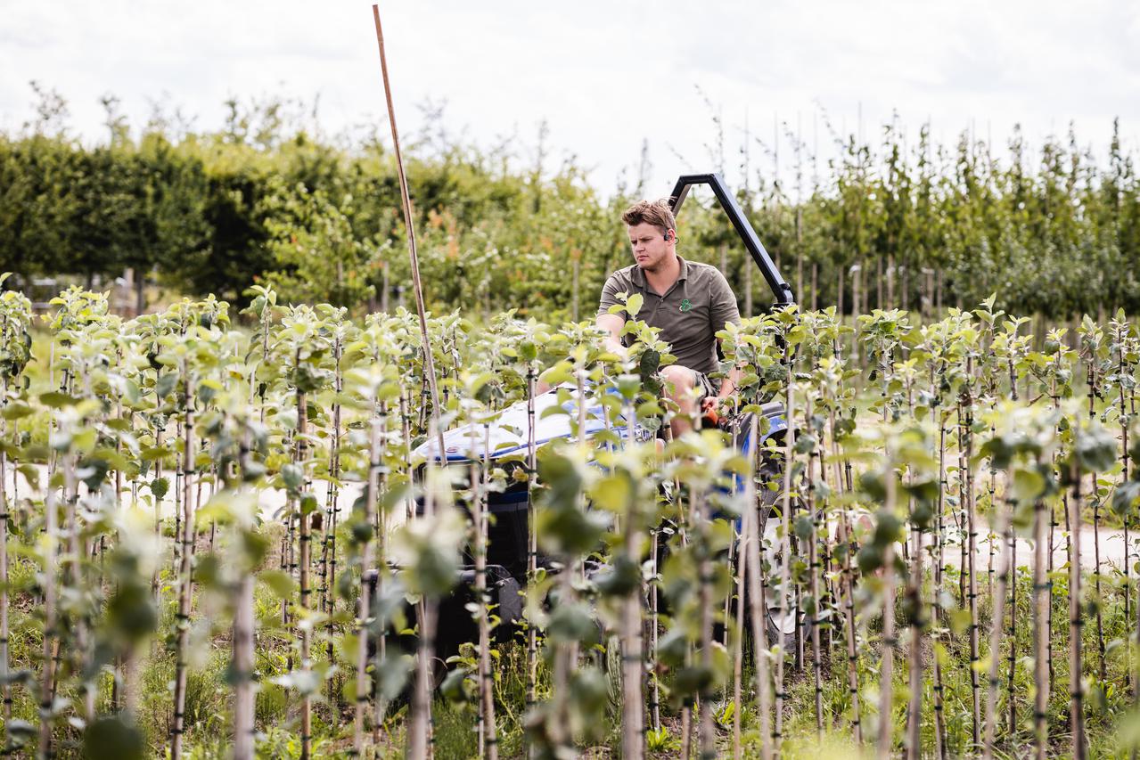 Jongere op tractor in de boomkwekerij