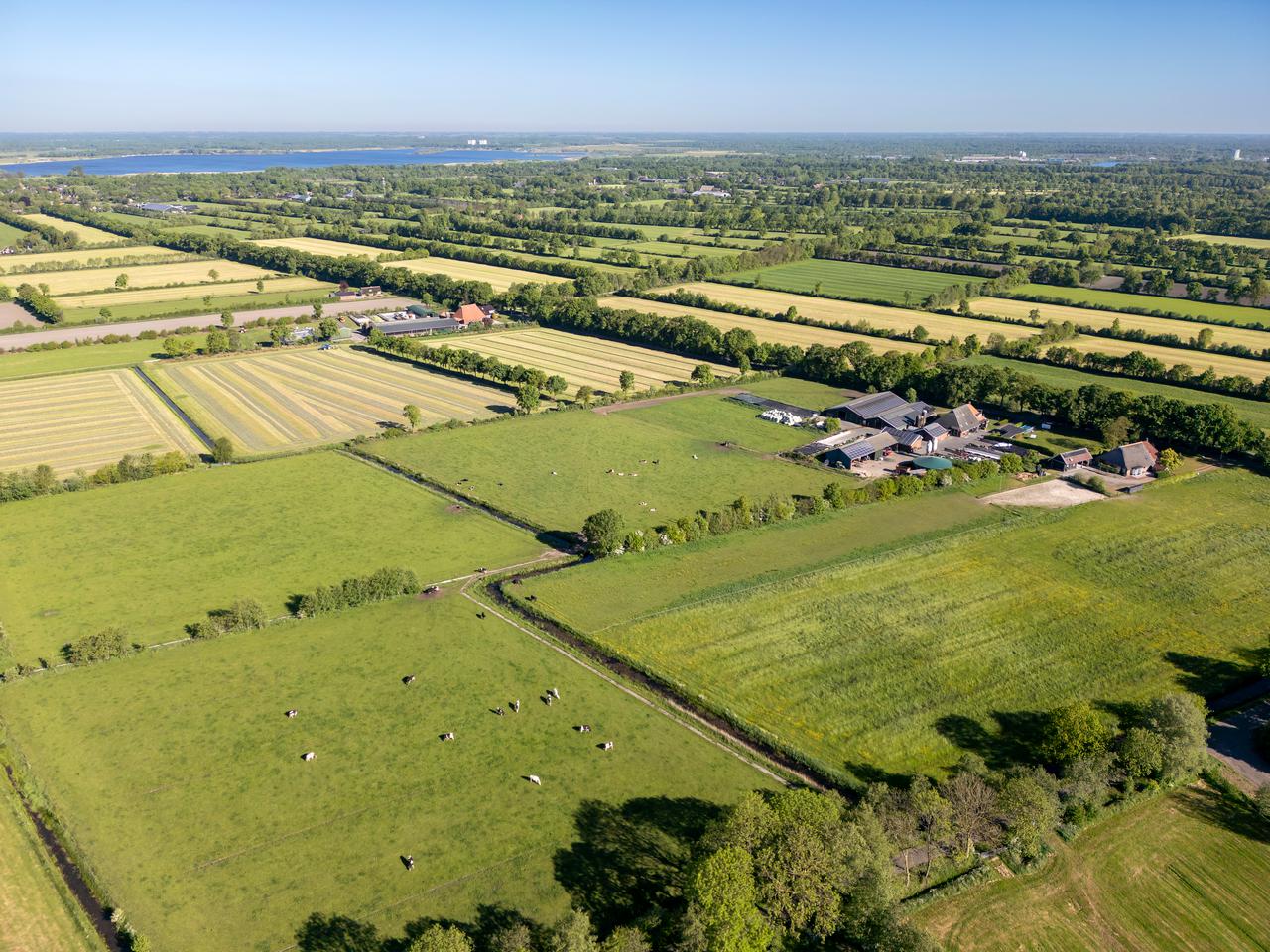 Landbouw en natuur in Friesland