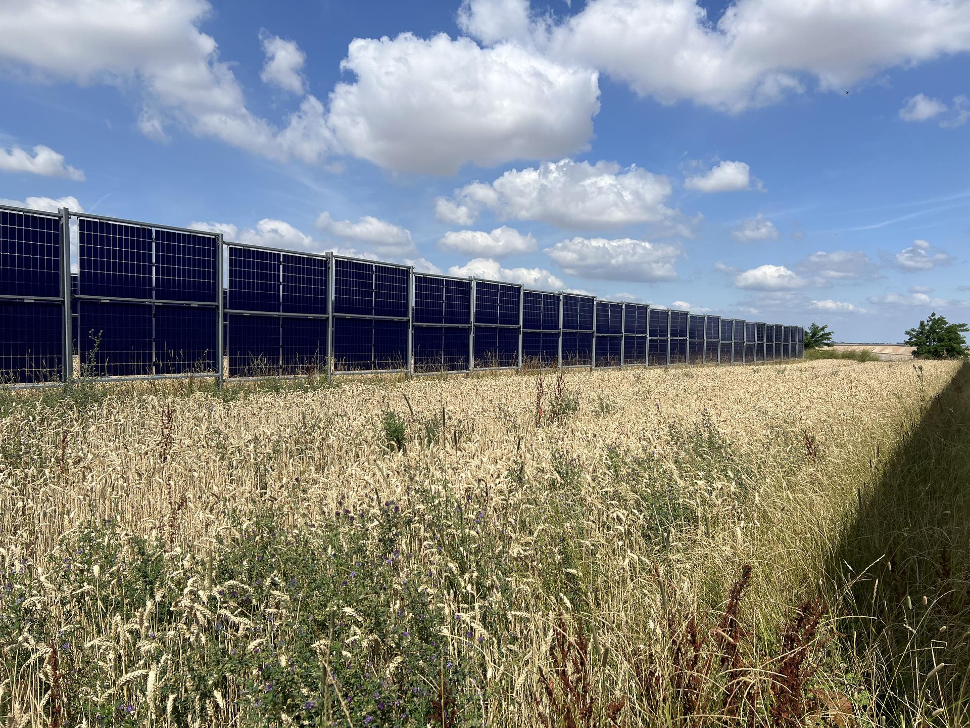 Agri-PV: zonnepanelen in een akker