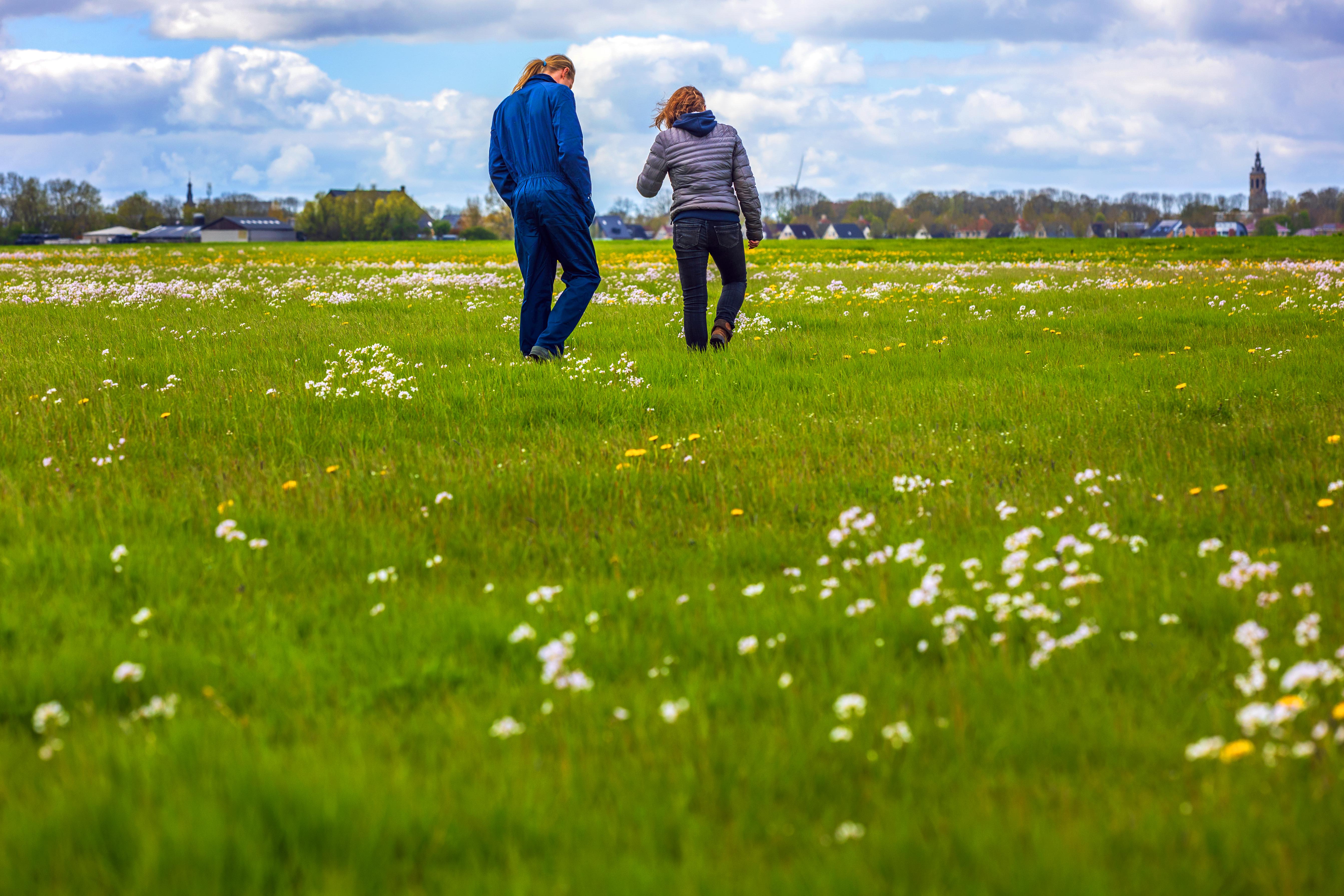 gras met kruidenmengsel